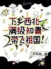 下乡西北,满级知青带飞祖国!