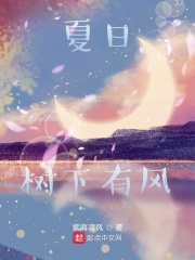夏日树下有风