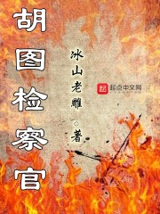 胡图检察官