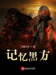 记忆黑方