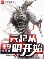 云起从黎明开始