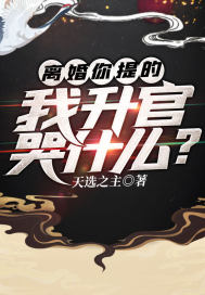 官婿美人图